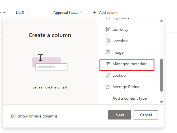 Choose a managed metadata option
